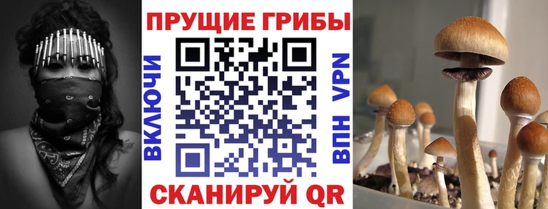 Галлюциногенные грибы мицелий  Купить где  Севск 